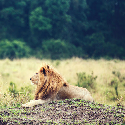 Hd-137478-ascw137478