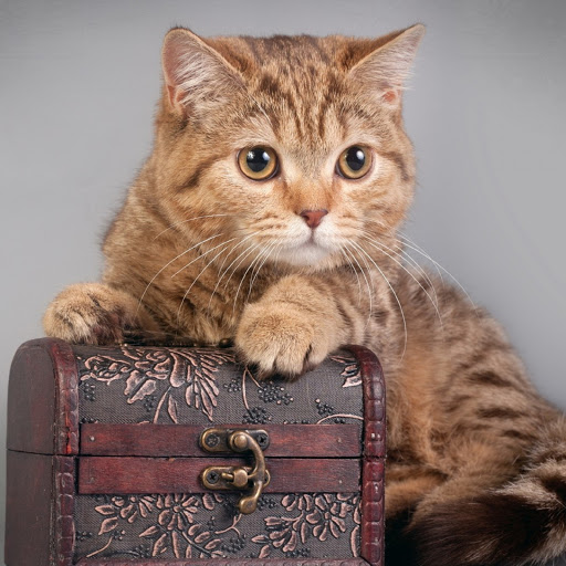 Hd-180434-ascw180434