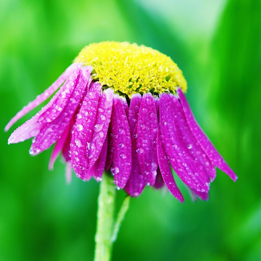 Hd-180538-ascw180538