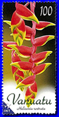 vanuatu flower 2