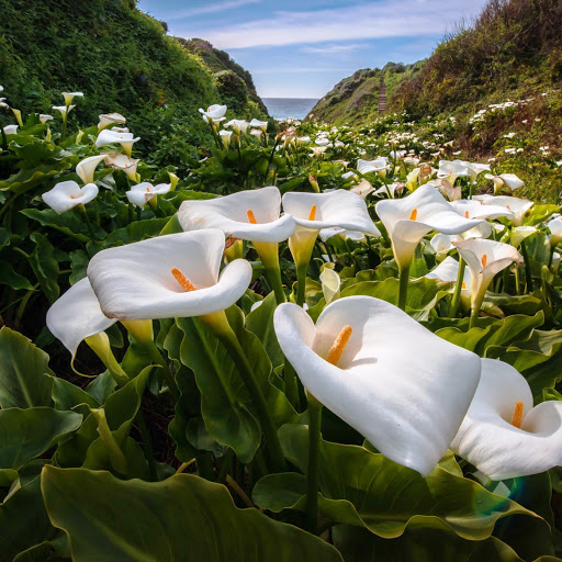 Hd-151056-ascw151056