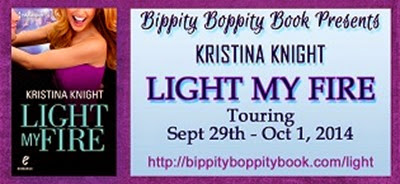 LightMyFireBannerSm LightMyFireBannerSm