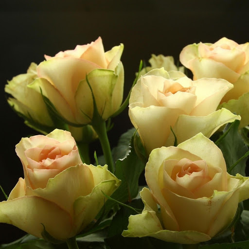 Hd-177082-ascw177082