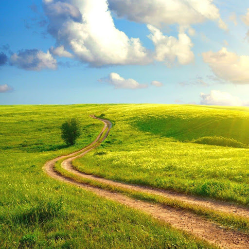 Hd-164136-ascw164136