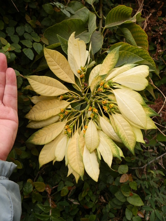 [P8080321%255B16%255D.jpg]