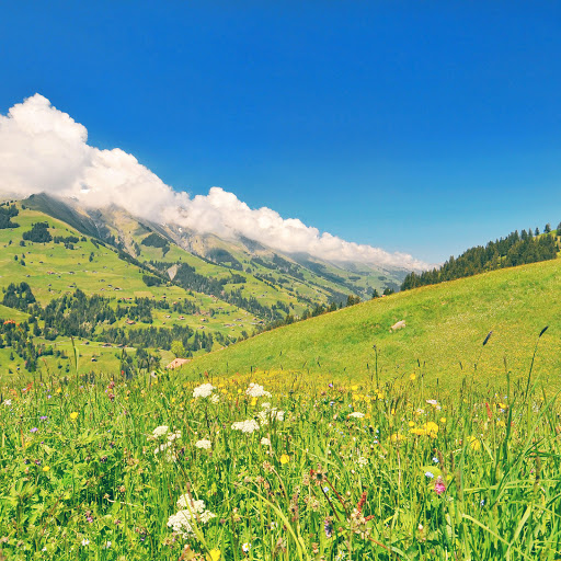 Hd-161331-ascw161331