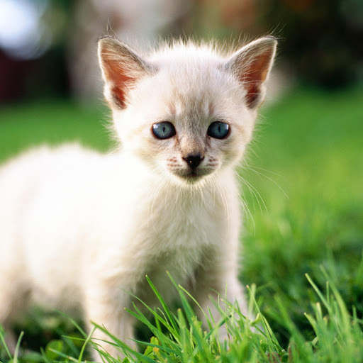 Hd-158956-ascw158956