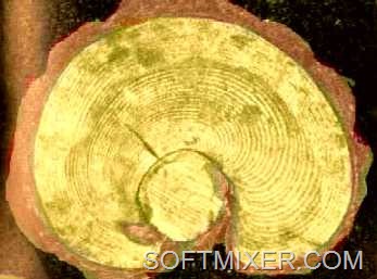 [tungus54%255B7%255D.jpg]