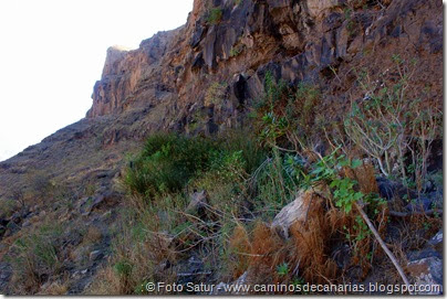 6695 Carrizal Tejeda-La Aldea(Fuente de la Pila) 6695 Carrizal Tejeda-La Aldea(Fuente de la Pila)