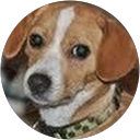 Katie Copeland profile picture