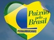 paixao pelo brasil pernambucanas