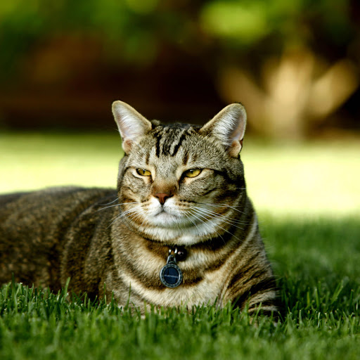 Hd-181592-ascw181592