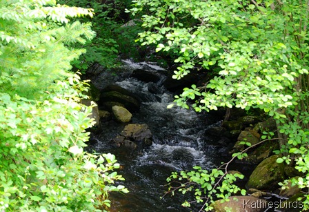 12. brook-kab 12. brook-kab