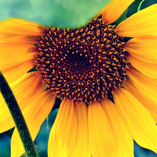 Hd-167722-ascw167722