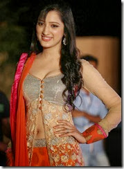 richa_panai_gorgeous_looking_stills