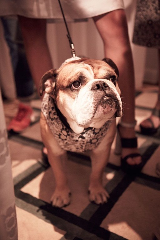 [mulberry-spring-2014-details-9%255B4%255D.jpg]