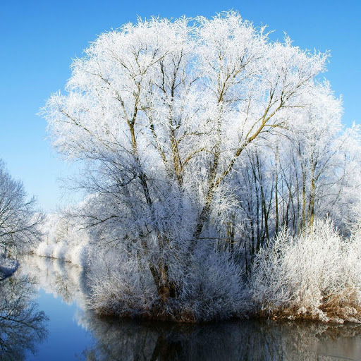 Hd-162699-ascw162699