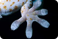 5f767d31946b4ab7f9717e361c55fa66