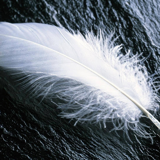 Hd-164710-ascw164710