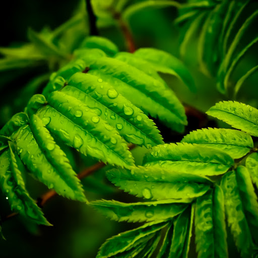 Hd-179887-ascw179887