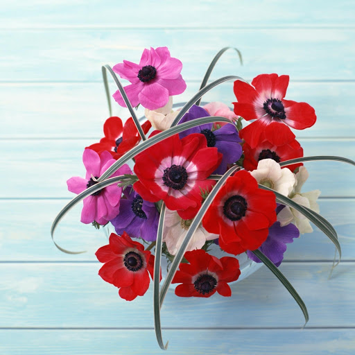 Hd-148233-ascw148233