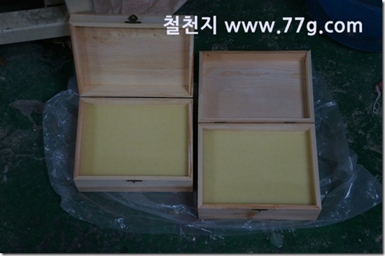 77gDSC08523-20130321-124017