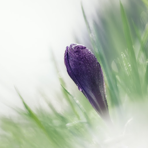 Hd-131435-ascw131435