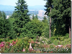 Portland Oregon from Rose Garden
