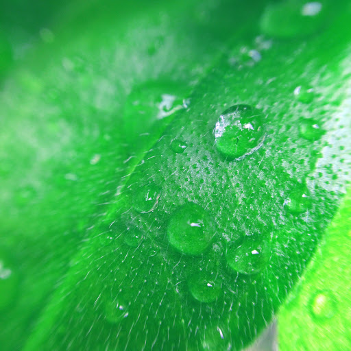 Hd-161338-ascw161338