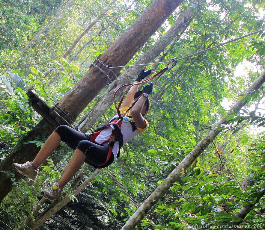 [SkyTrex-Flying-Fox-Tryout6.jpg.webp]