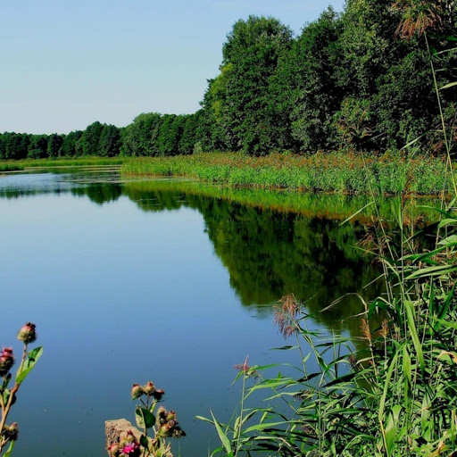 Hd-182691-ascw182691