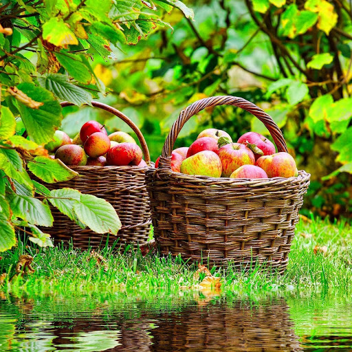 Hd-145976-ascw145976