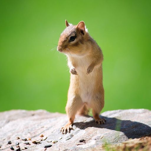 Hd-178630-ascw178630