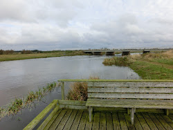 Skjern Au _ Oktober 2012 - 122