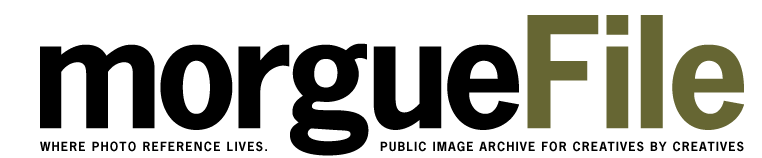 [morgueFile%255B4%255D.png]