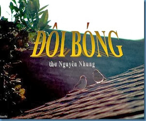 Doi bong