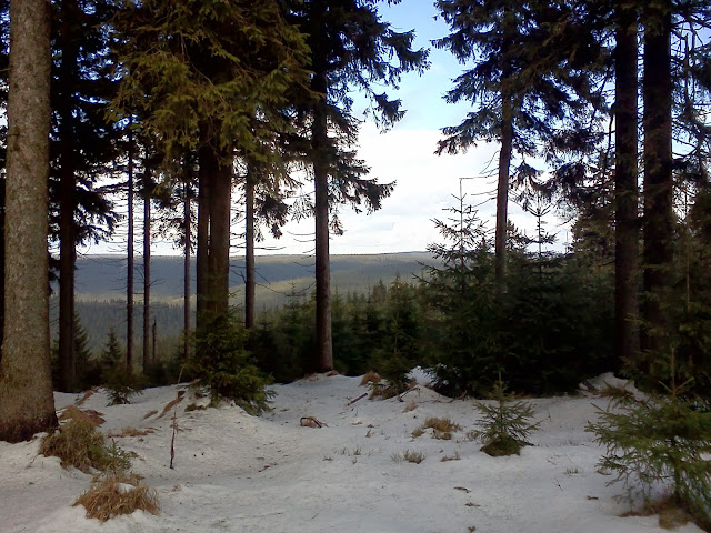 Sníh v lese nedaleko vrcholu Špičák