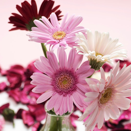 Hd-146385-ascw146385