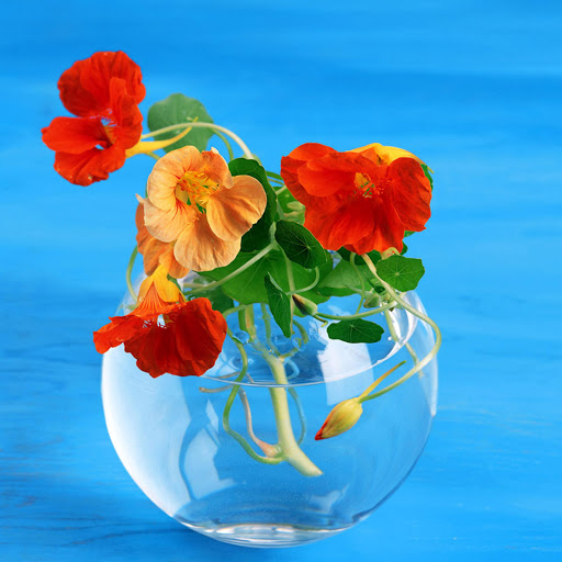 Hd-139773-ascw139773