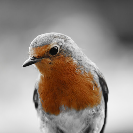 Hd-178946-ascw178946