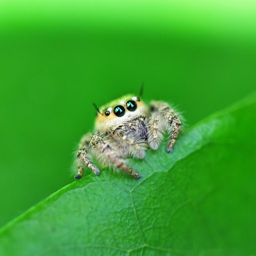 Hd-151588-ascw151588