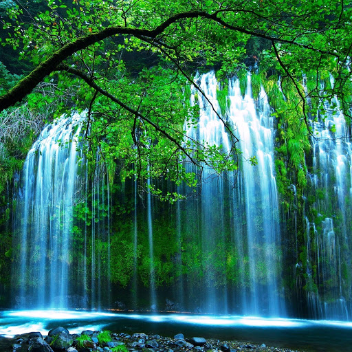 Hd-141978-ascw141978