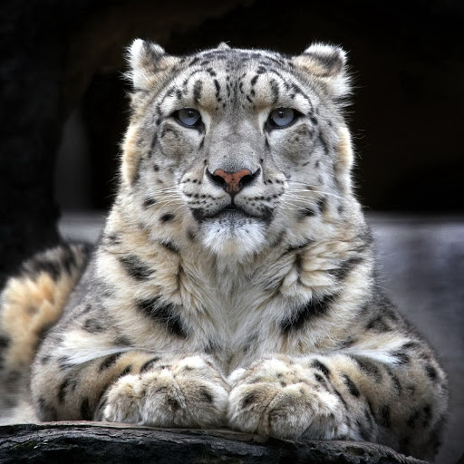 Hd-180329-ascw180329