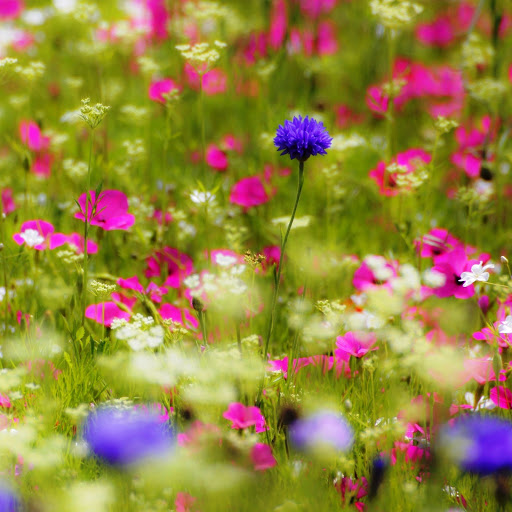 Hd-142667-ascw142667