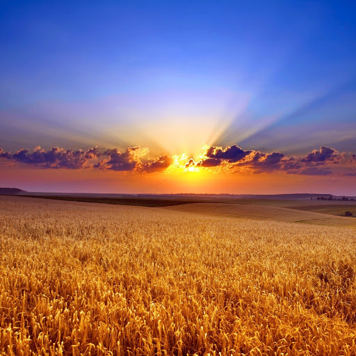 Hd-144250-ascw144250