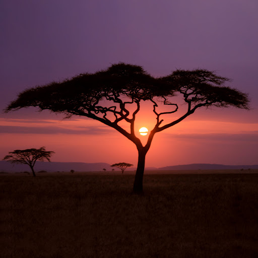 Hd-162120-ascw162120