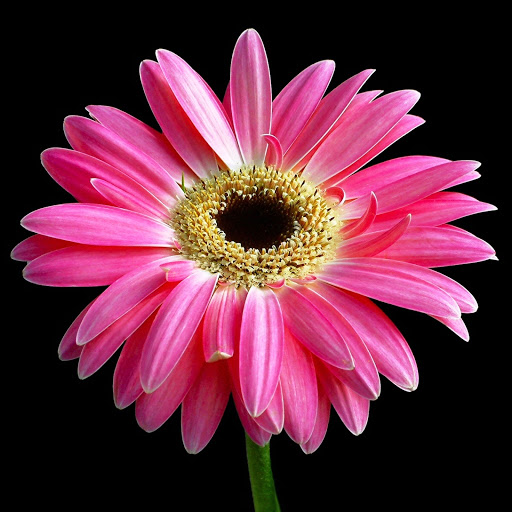 Hd-147395-ascw147395