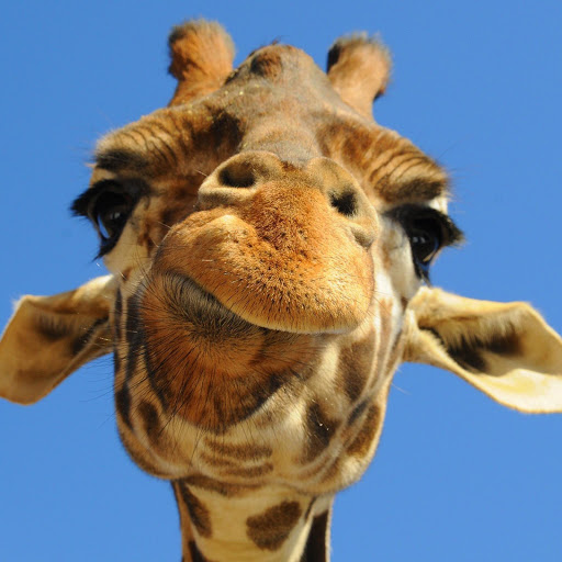 Hd-147043-ascw147043