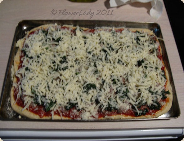 09-14-ital-saus-kale-pizza5