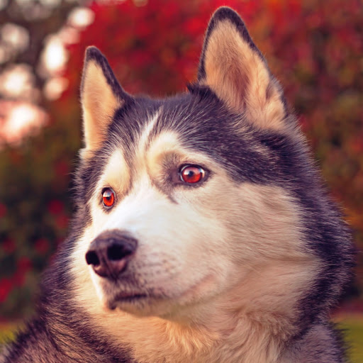 Hd-147489-ascw147489